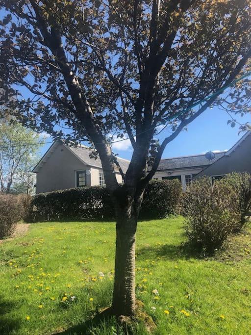 West Lodge 3 Bedrooms, Near Golf Course And River Turriff Exterior photo